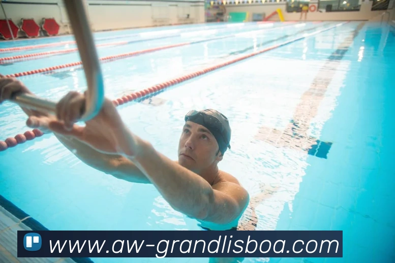 新葡京娱乐平台生态图